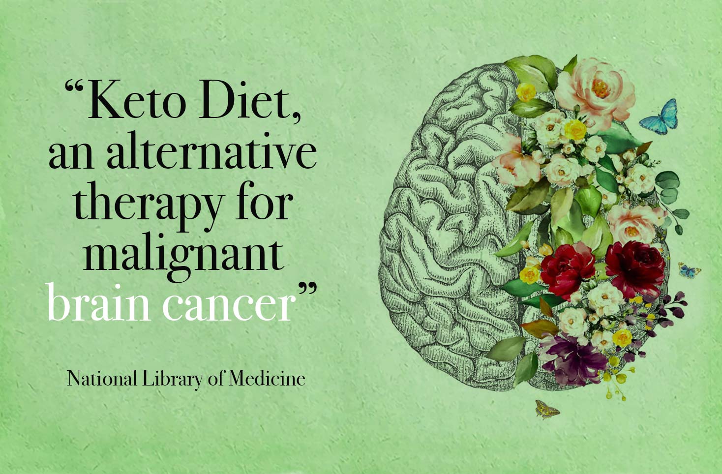 Keto Health Alternative For Brain Cancer, Heart Diseases, Diabetes, Weight Loss